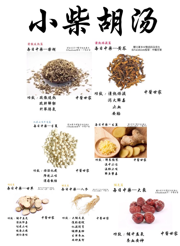 小柴胡湯 －【中醫道】
