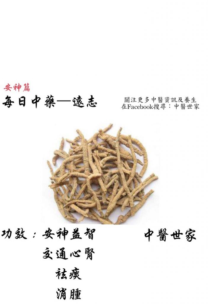 遠志中藥-【中醫道】