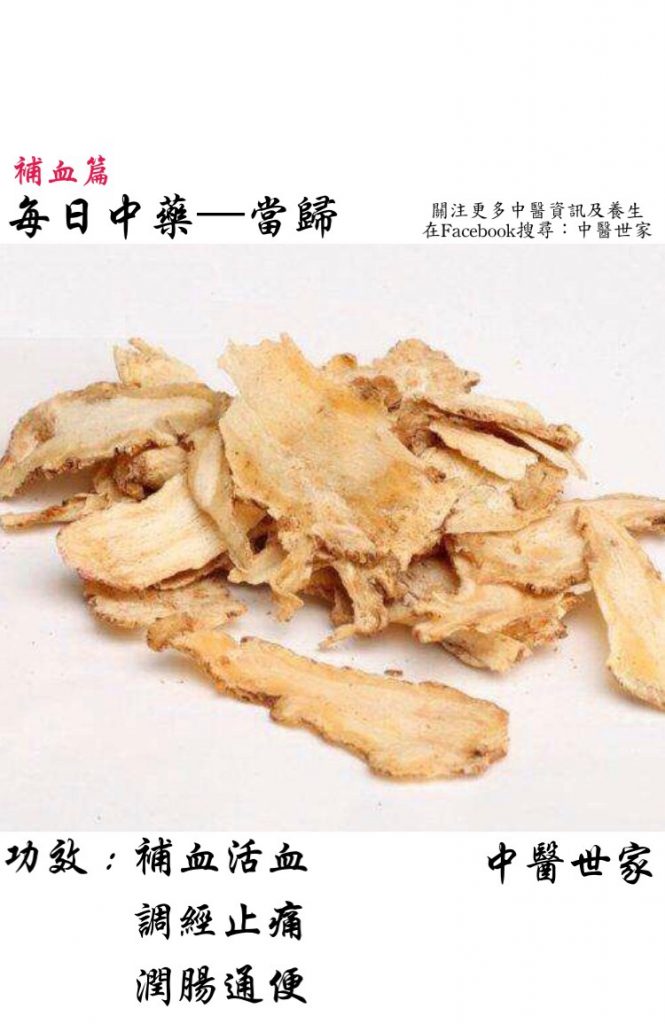 當歸-中藥-【中醫道】